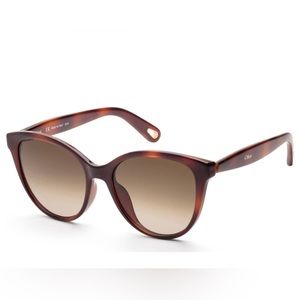 Chloe Women's Brown Round Sunglasses